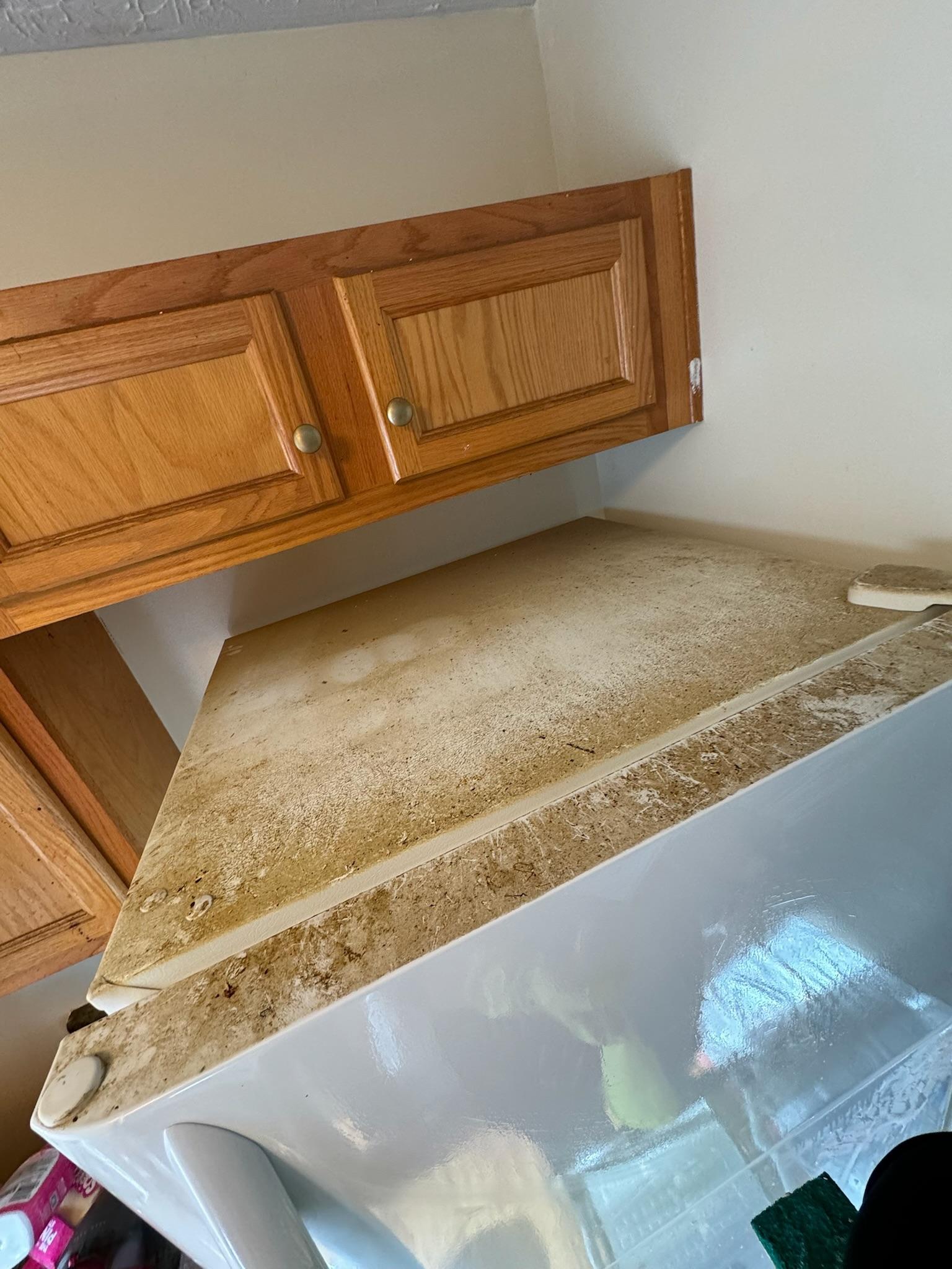 Top of a refrigerator before cleaning, buried under a thick layer of greasy dust below the oak cabinets